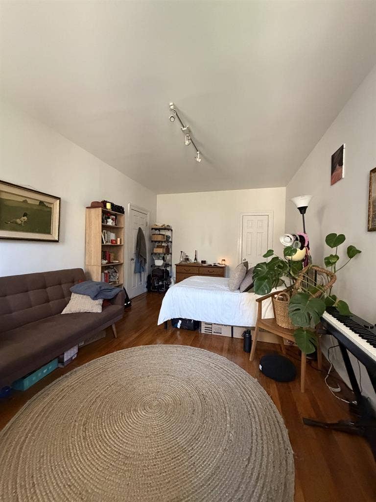 July Sublet Large Room in Brooklyn