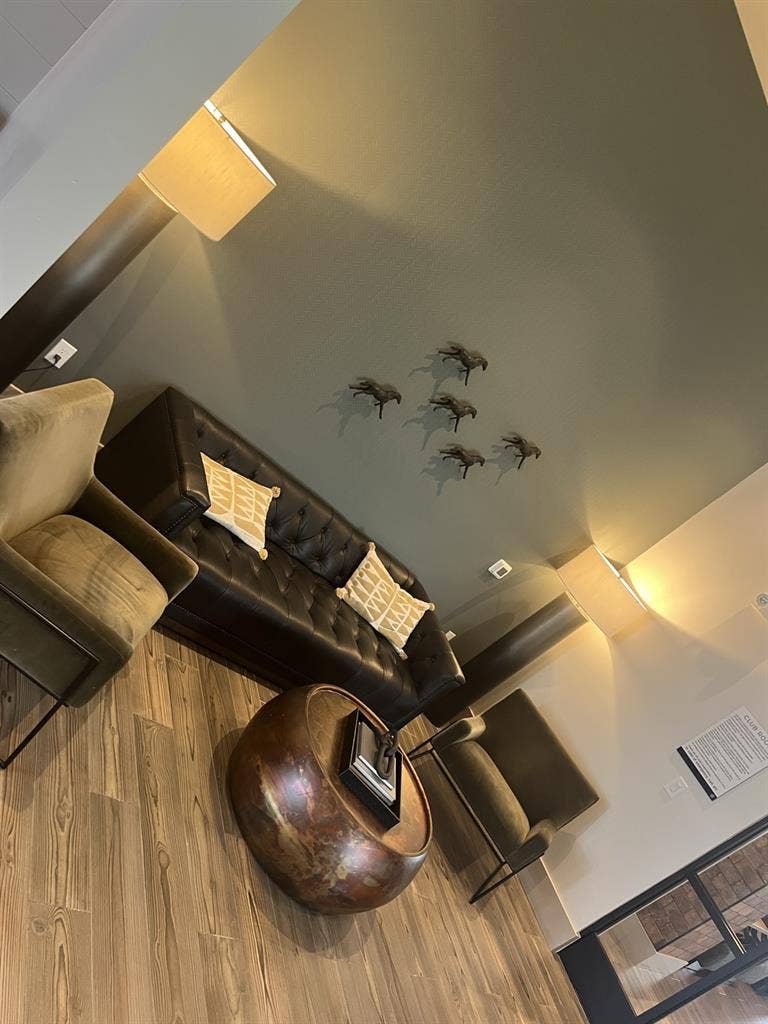 Looking for A Mature Roommate