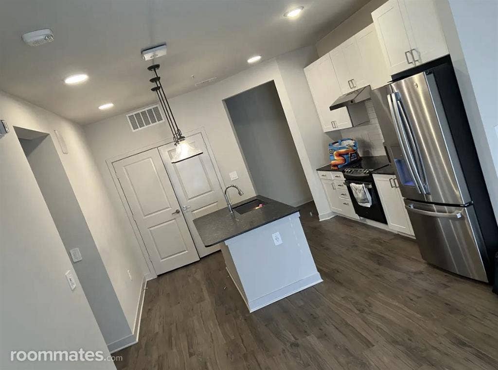Looking for A Mature Roommate