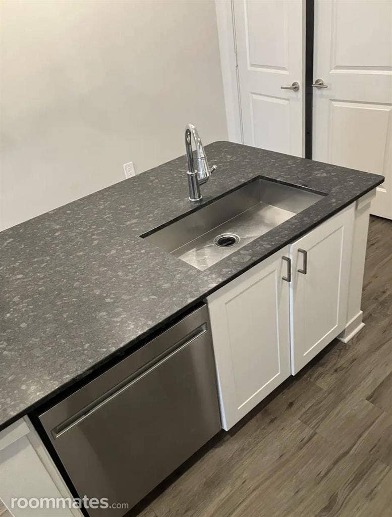 Looking for A Mature Roommate