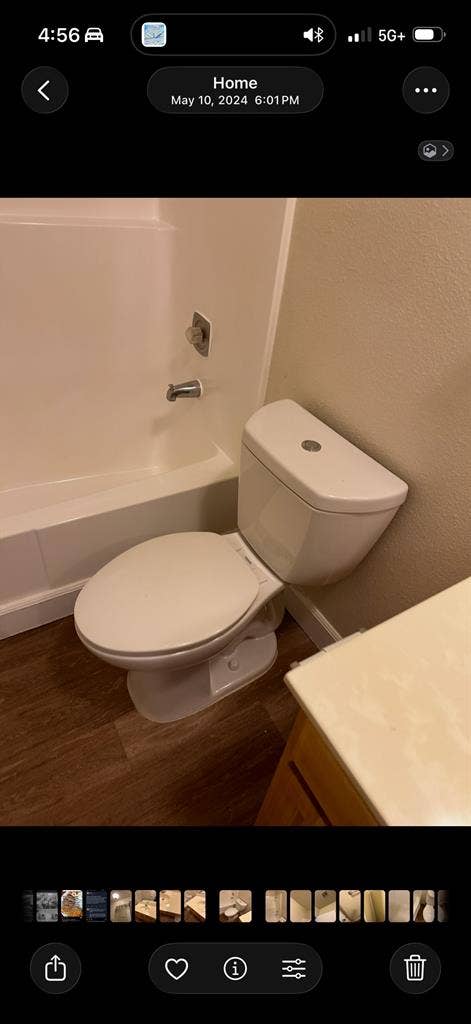 Searching for new roomie!