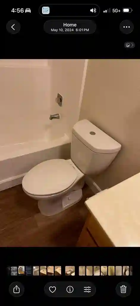 Searching for new roomie!