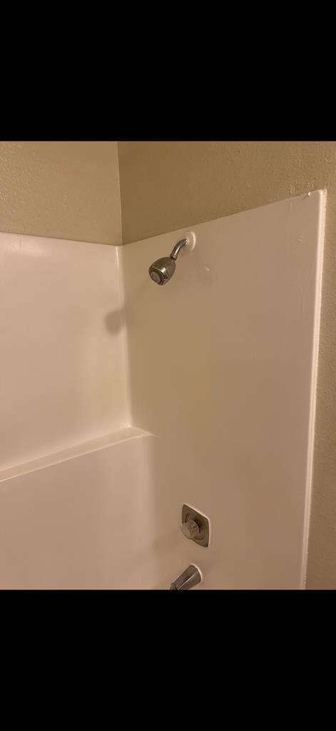 Searching for new roomie!
