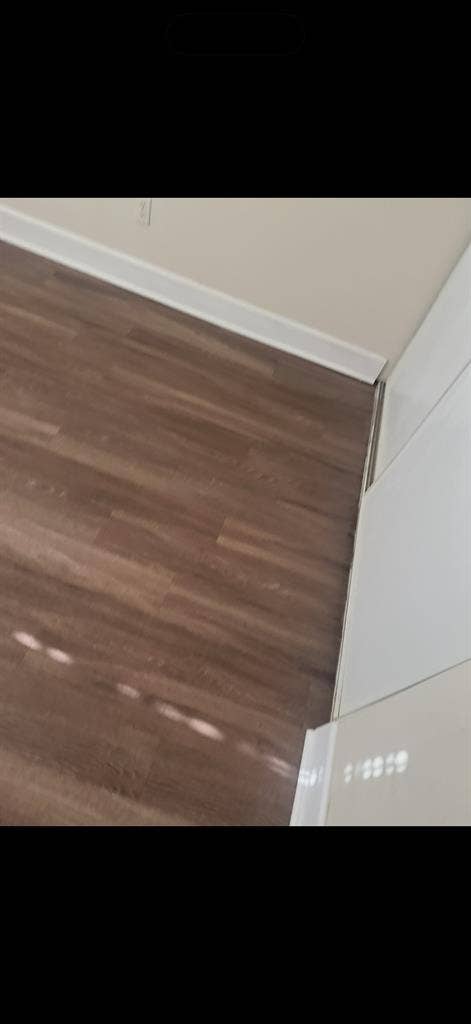 Searching for new roomie!