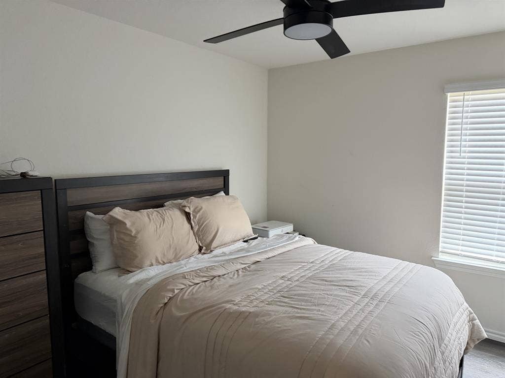 3 rooms open to rent