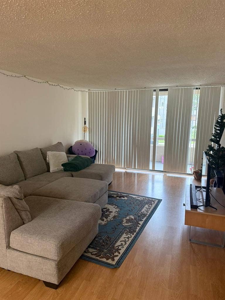 Looking for a roommate near UCLA!