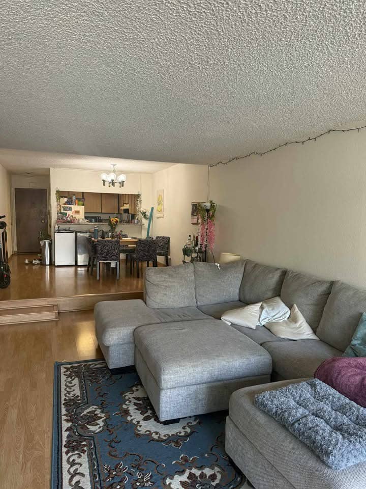 Looking for a roommate near UCLA!