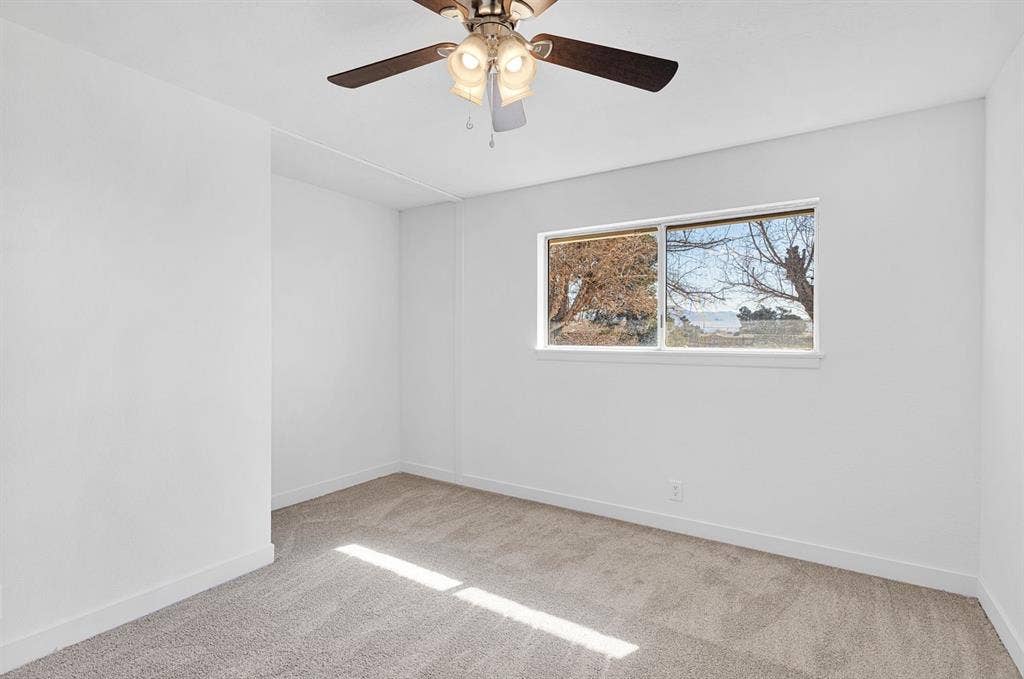 Looking for Roommates