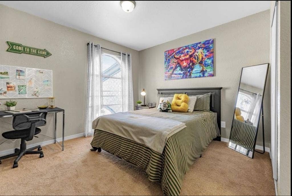 Private Room Bed/Bath Near USF $779