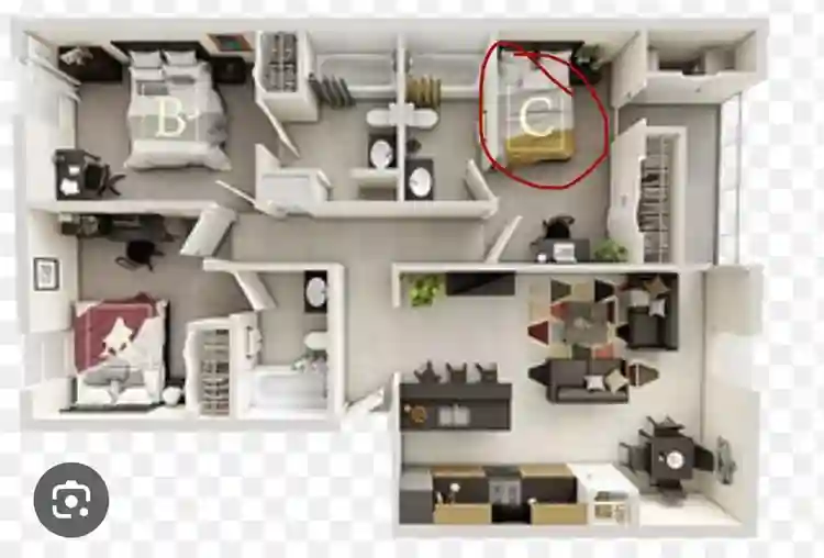 Private Room Bed/Bath Near USF $779