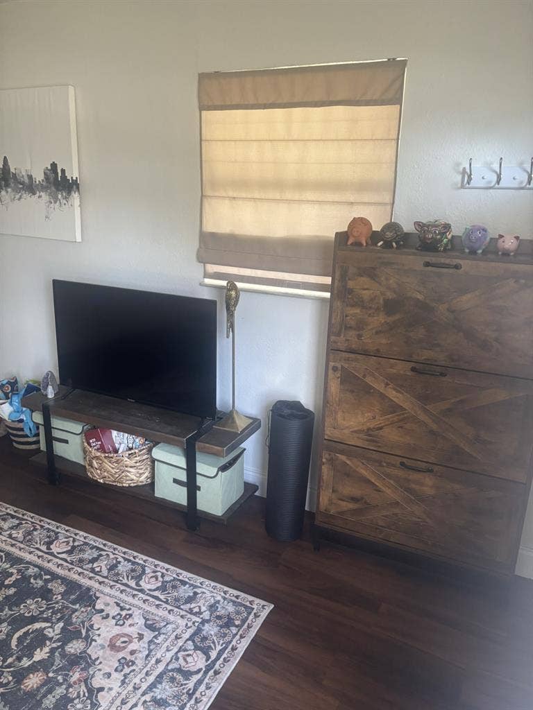 Seeking a female roommate