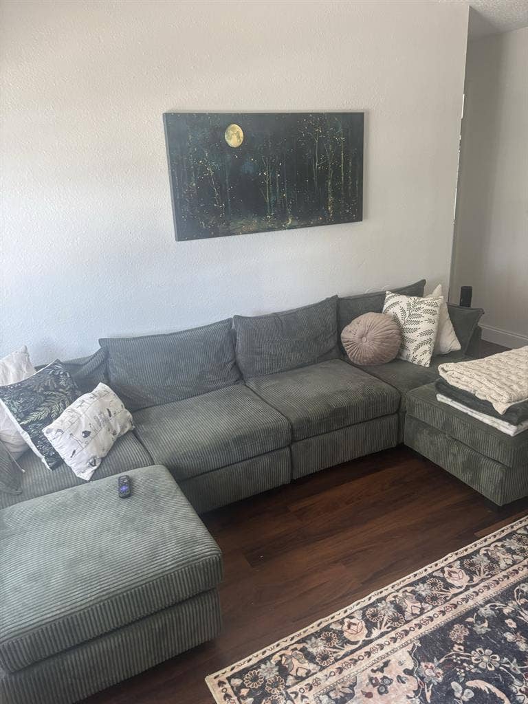 Seeking a female roommate