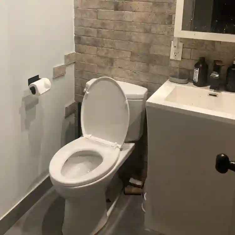Roommate needed in Ridgewoodd