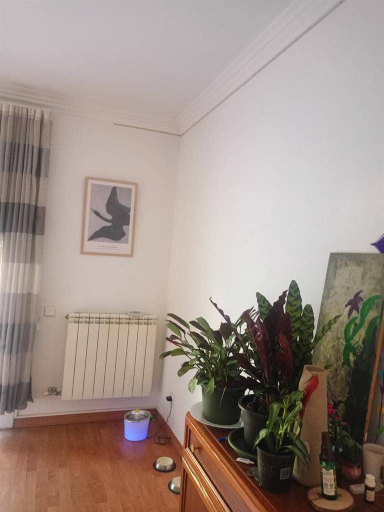 Una casa de 200m cuadrados