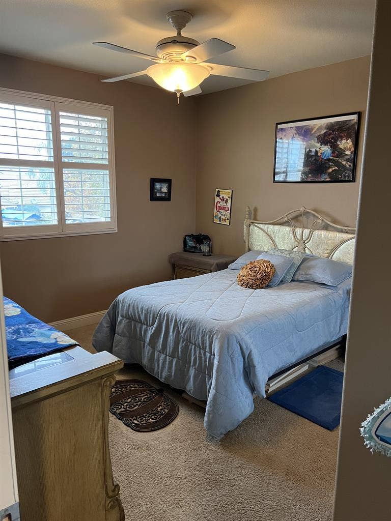 Comfy room available!