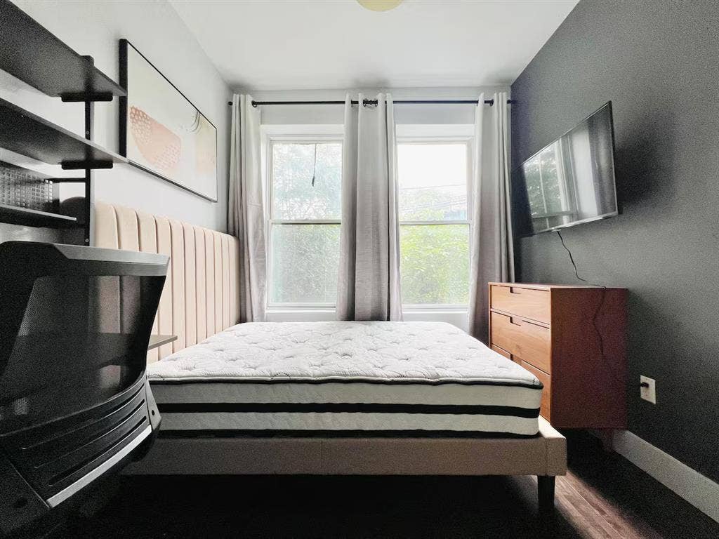 Room for Student or Professional