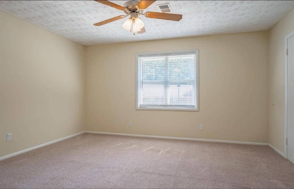 Looking for a roommate
