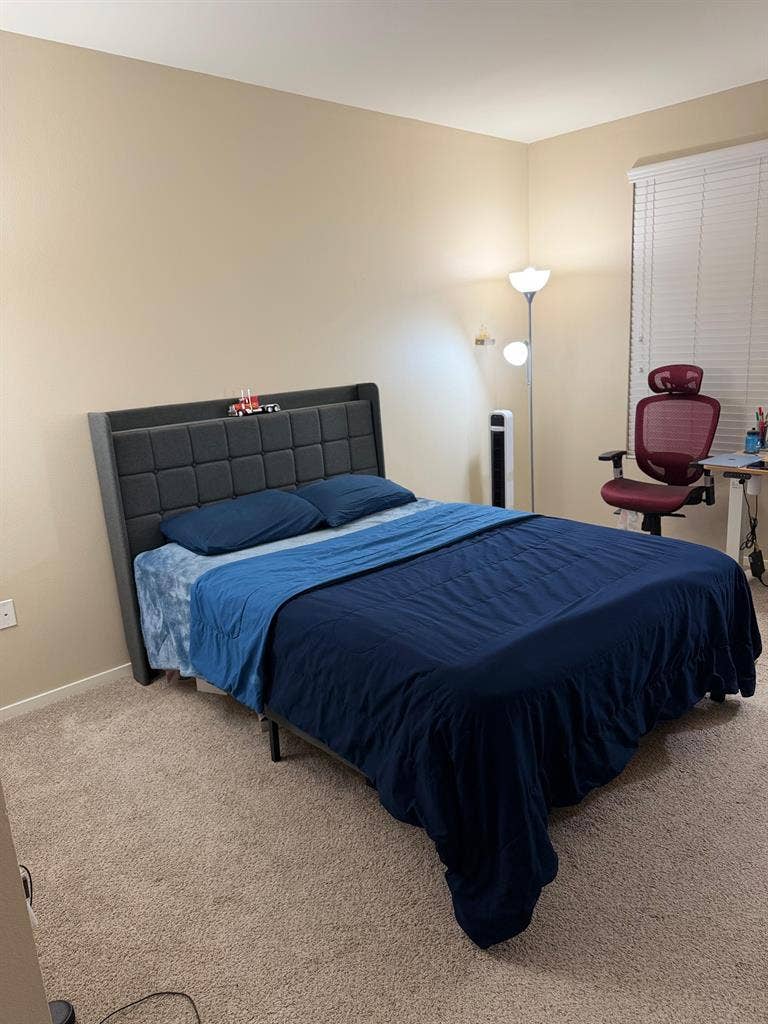 Master Bedroom in 3 Bed Apt