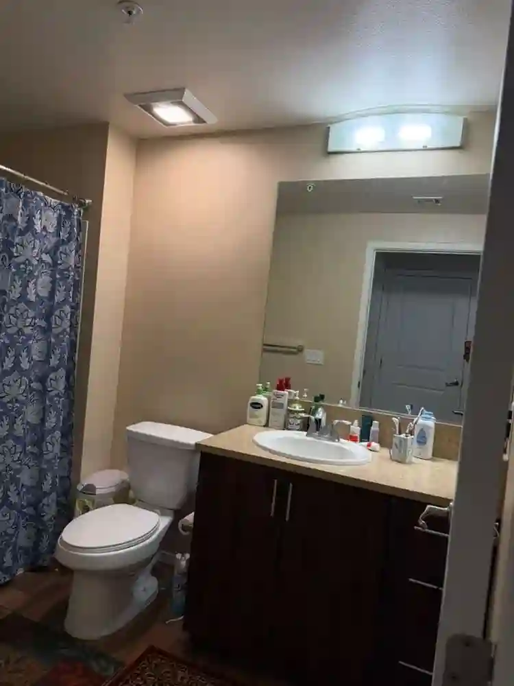 Master Bedroom in 3 Bed Apt