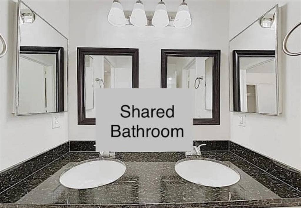Roommate Wanted