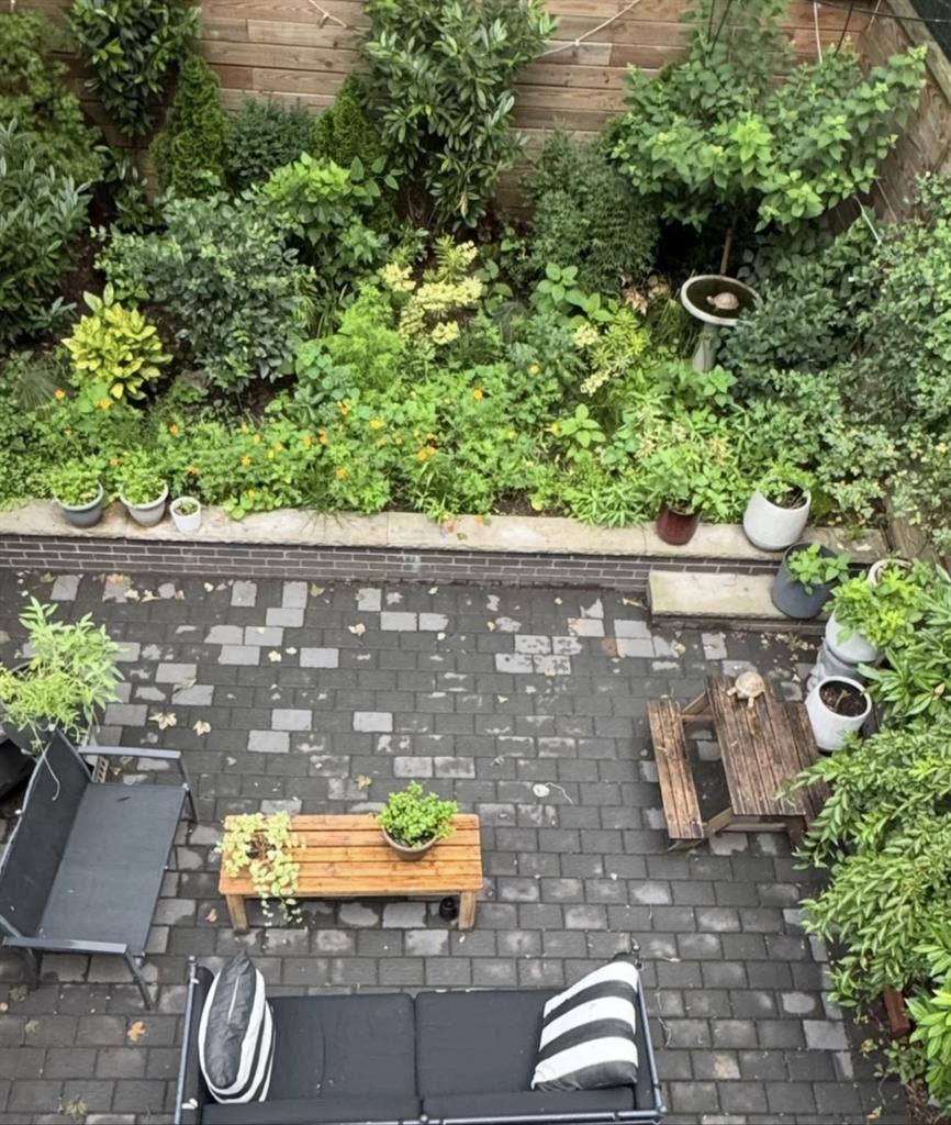 1 roommate needed for brownstone