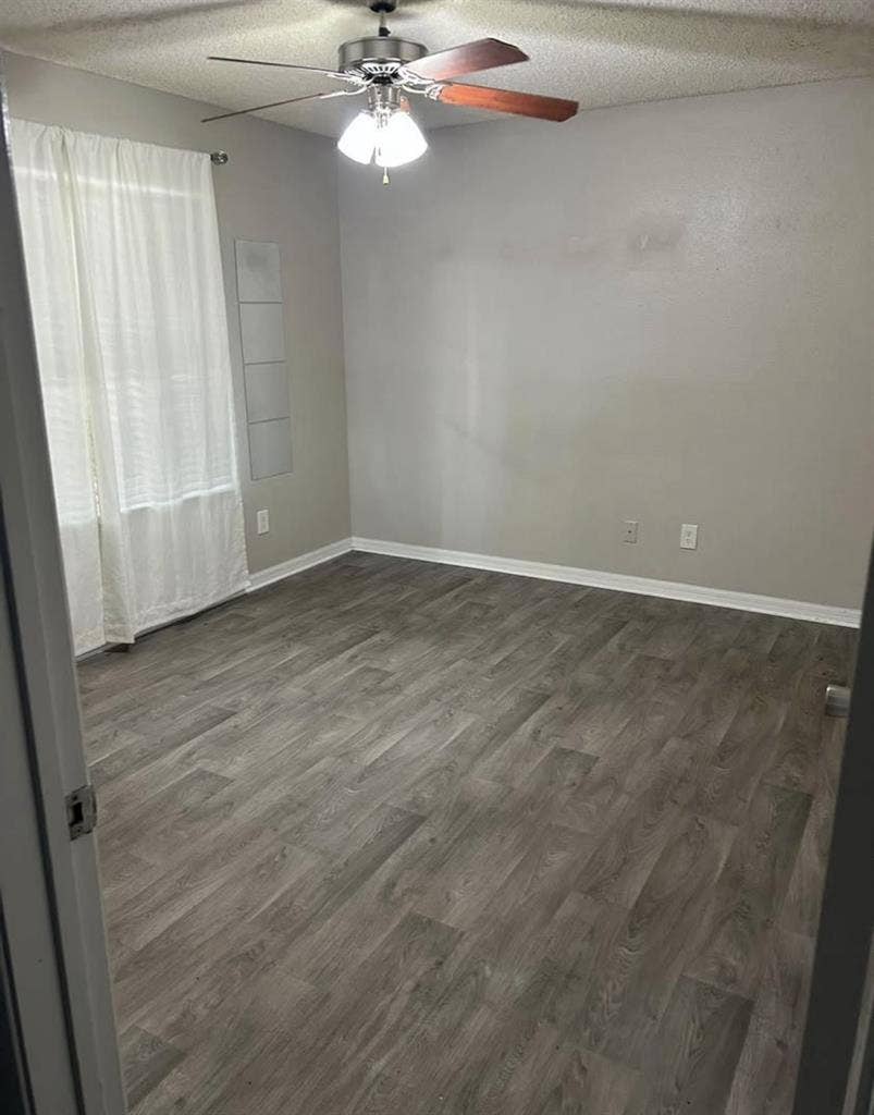 Looking for a roommate