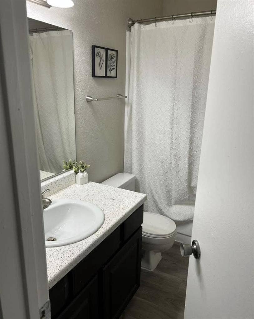 Looking for a roommate
