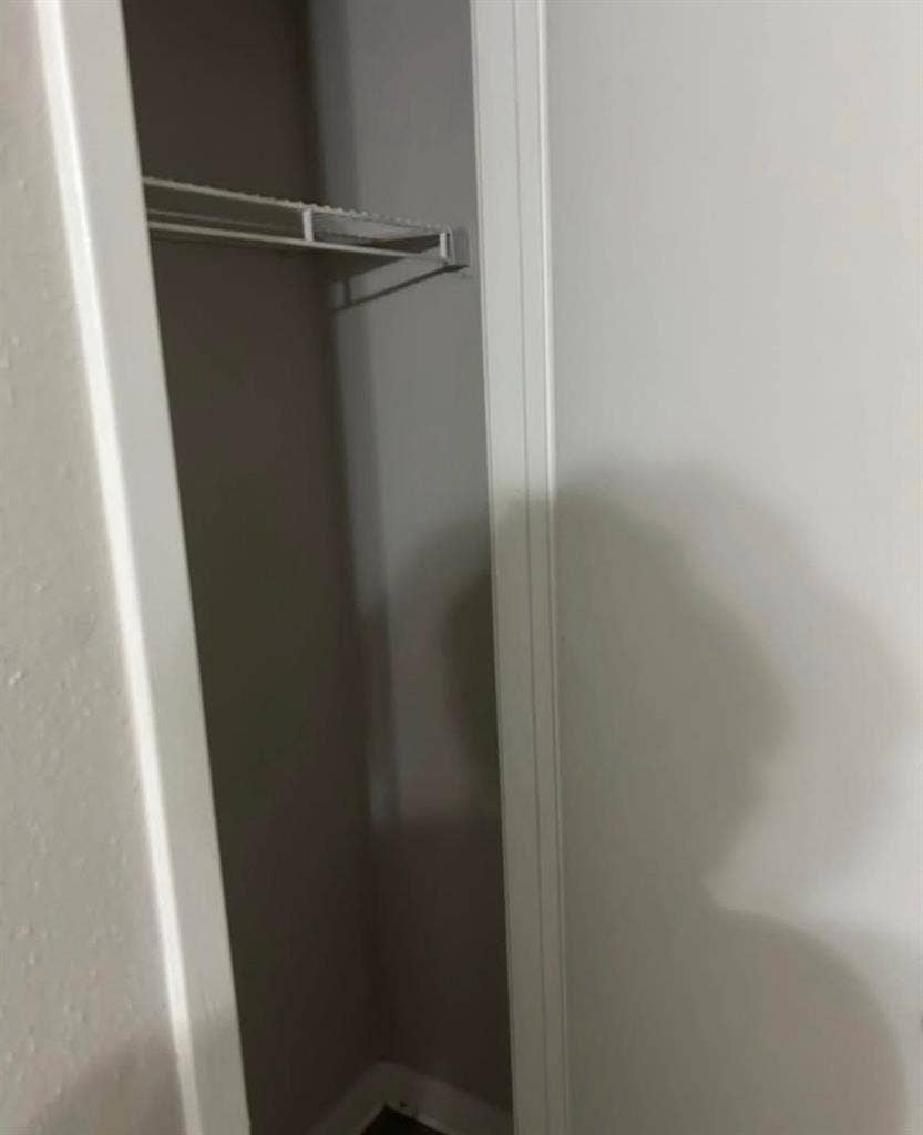 Looking for a roommate