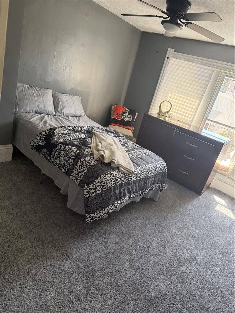 Brand new house rooms available