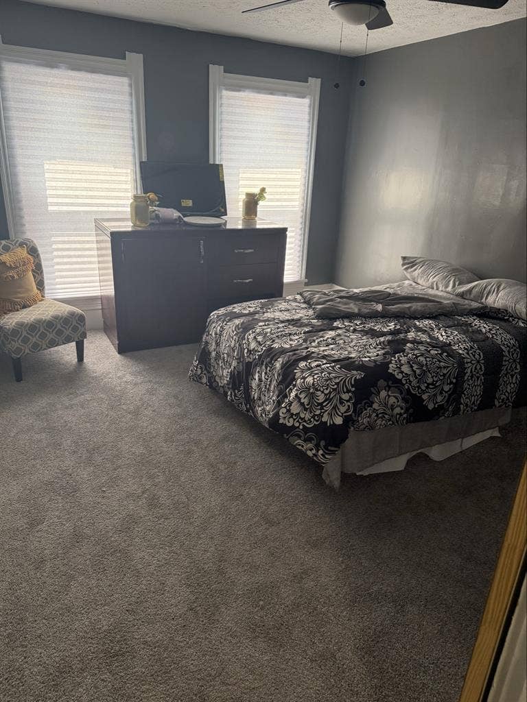 Brand new house rooms available