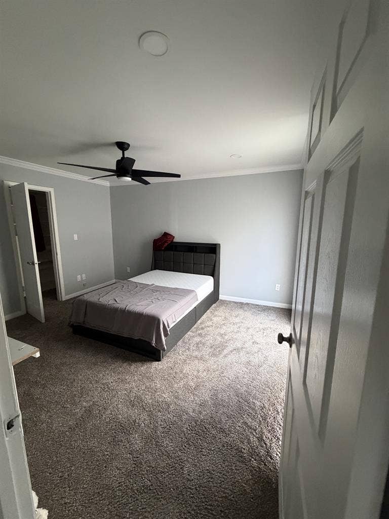Room for rent (roommate)