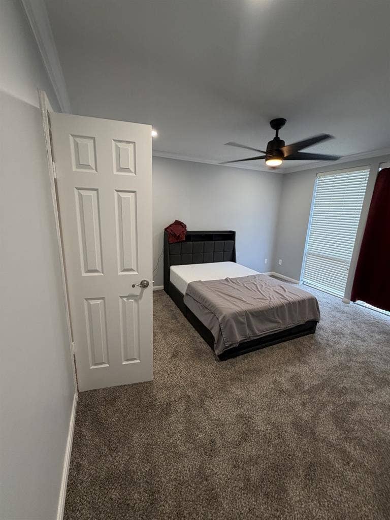 Room for rent (roommate)