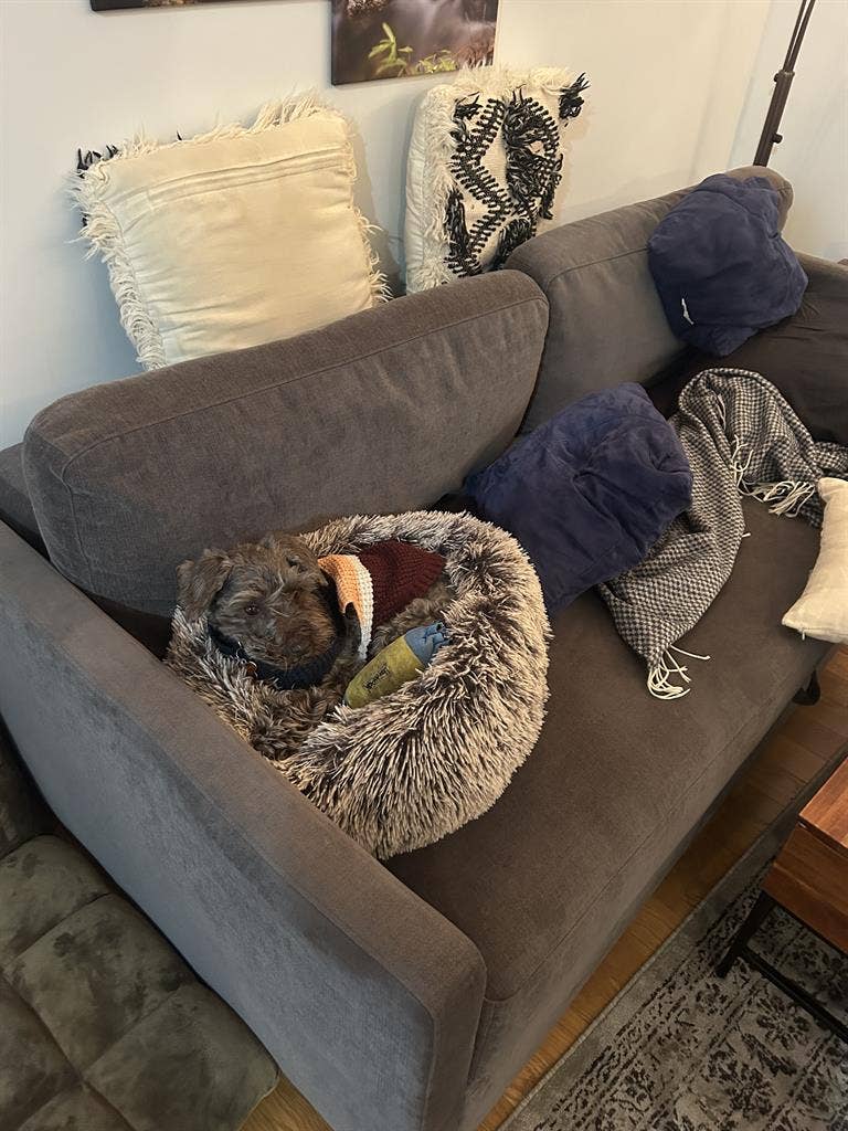 Roommate needed - Sept 1 move in!