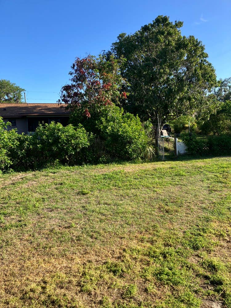 Homestead in Palmetto