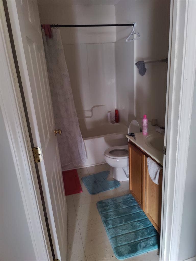 Roommate Wanted- Master Bedroom