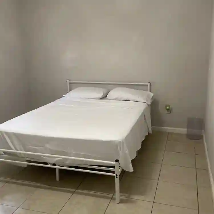 Looking for a roommate,