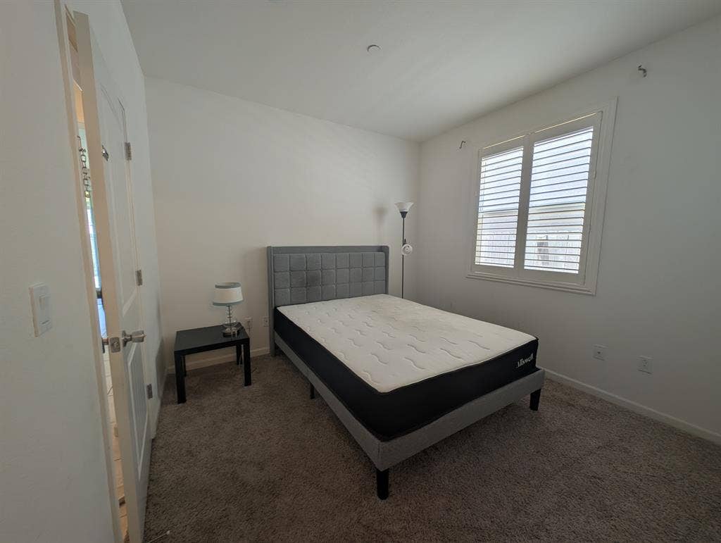 Large en suite room for rent