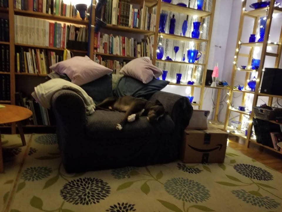 Room available in shared house