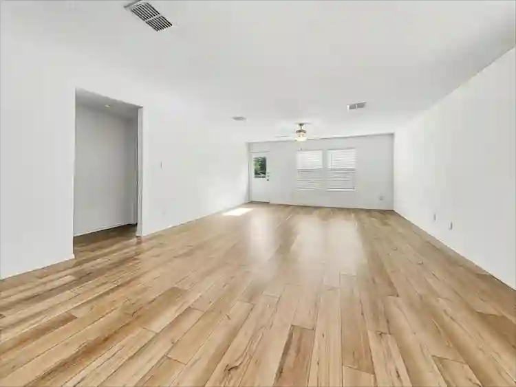 Roommates Needed