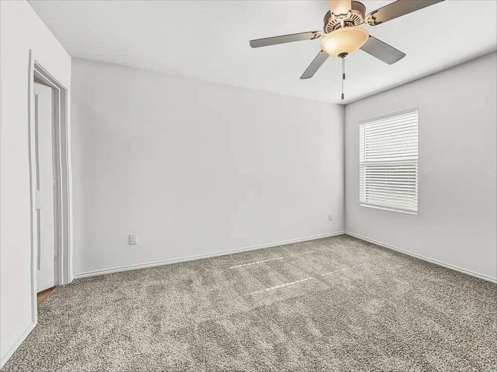 Roommates Needed