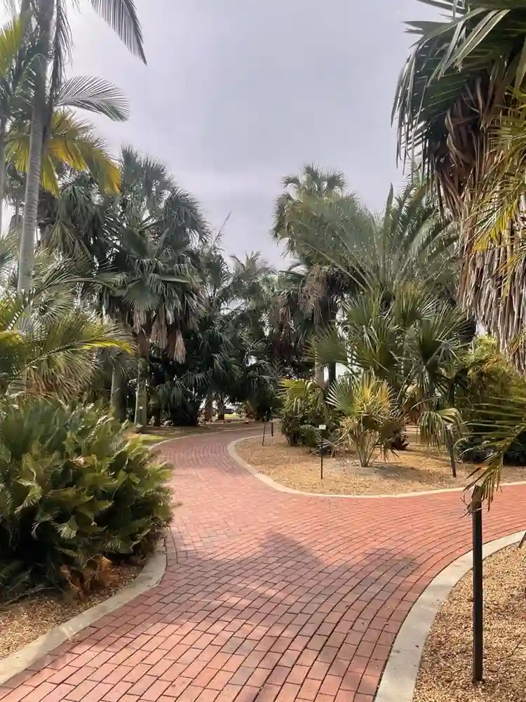 Walking dist to DT St Pete