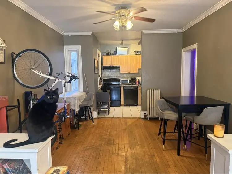Looking for roommate