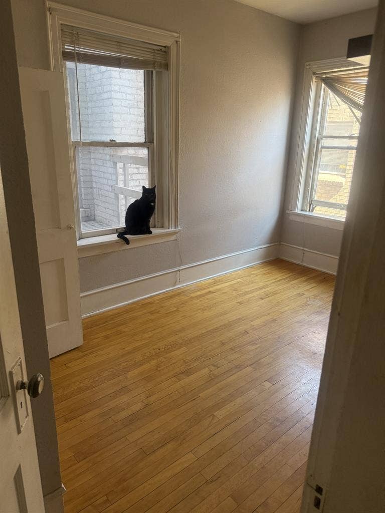 Looking for roommate