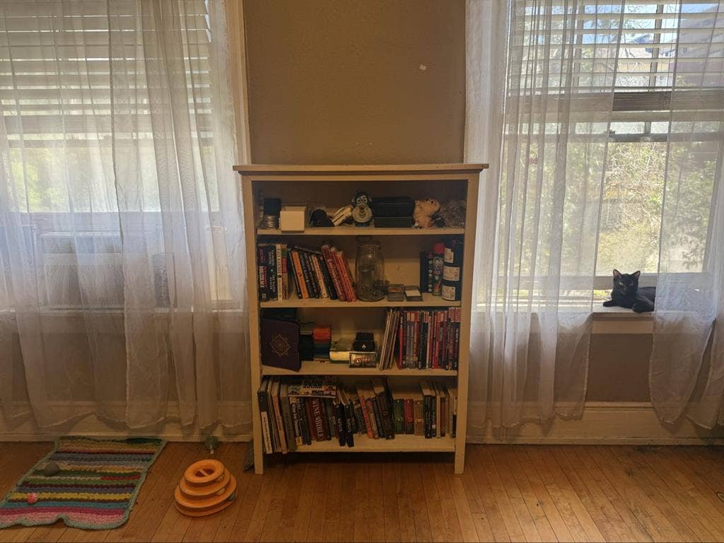 Looking for roommate