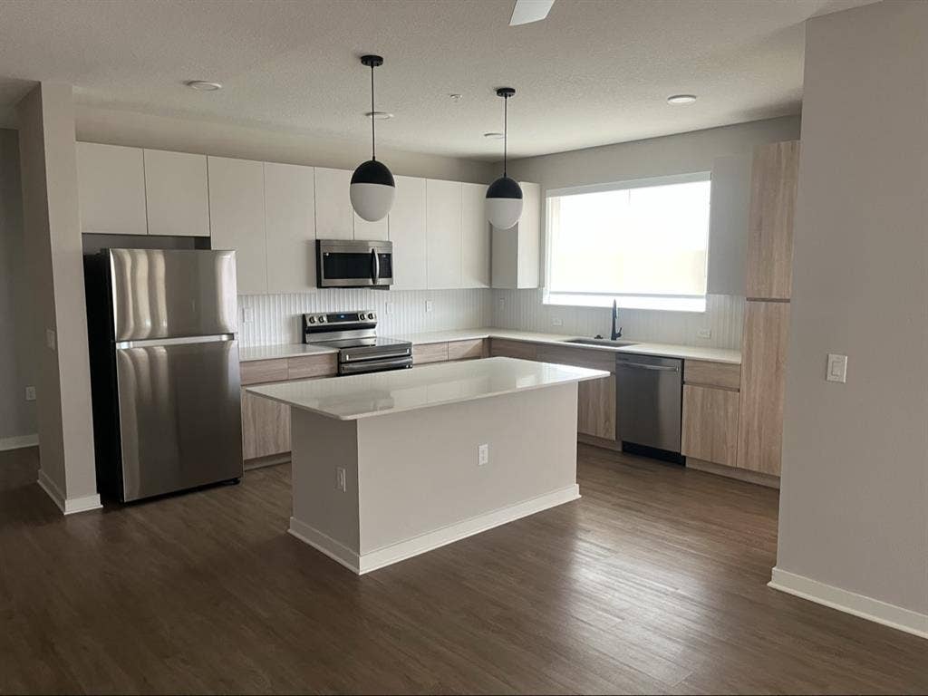 Looking for a professional roommate