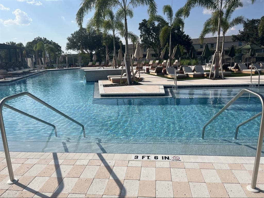 Looking for a professional roommate