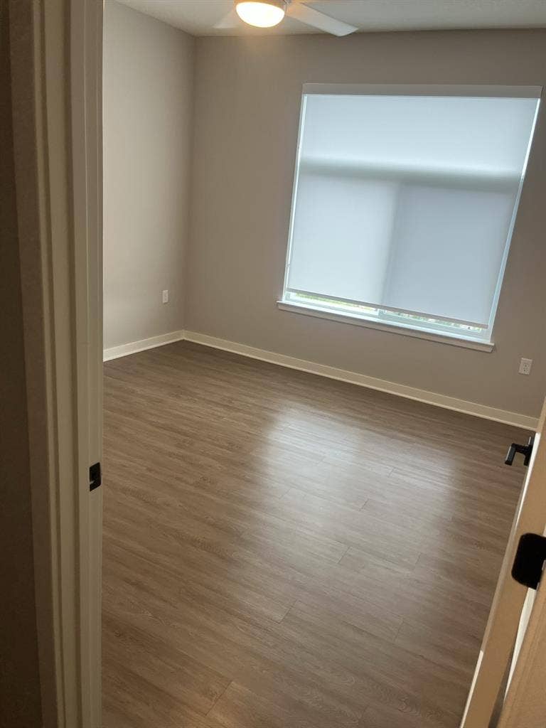 Looking for a professional roommate