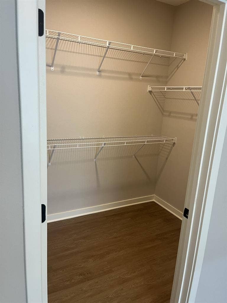 Looking for a professional roommate