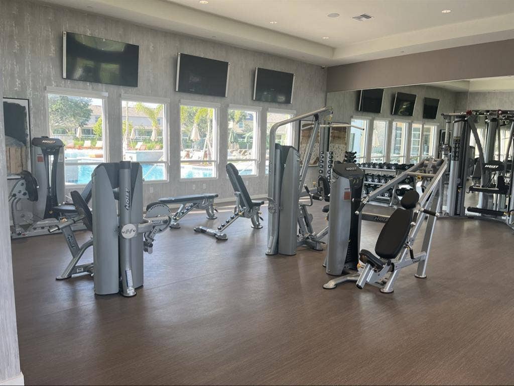 Looking for a professional roommate