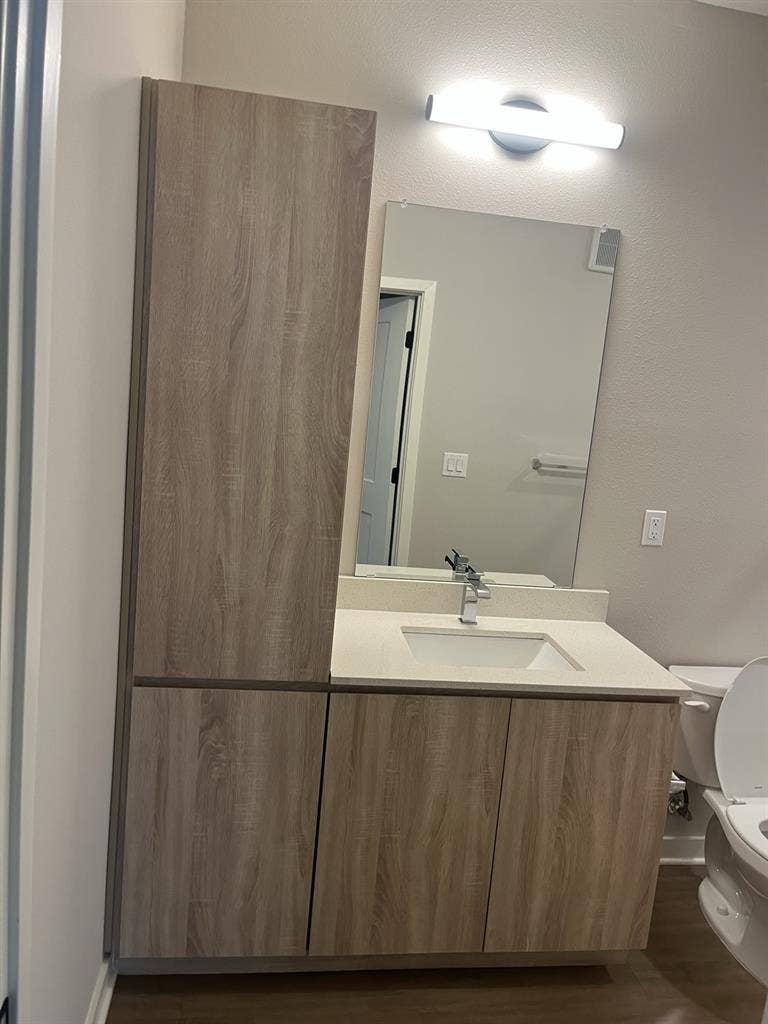 Looking for a professional roommate